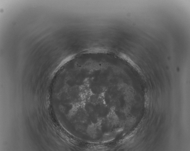 X0000063501213200601271736