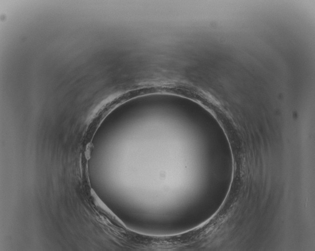 X0000063501214200601271736