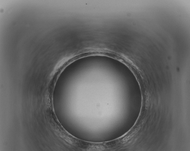 X0000063501215200601271736