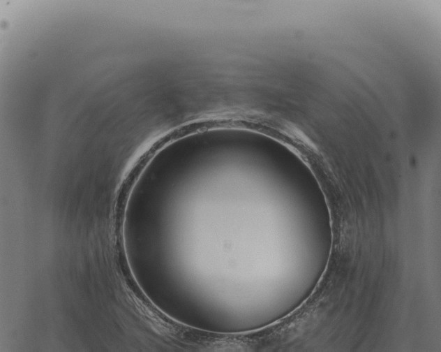 X0000063501216200601271736