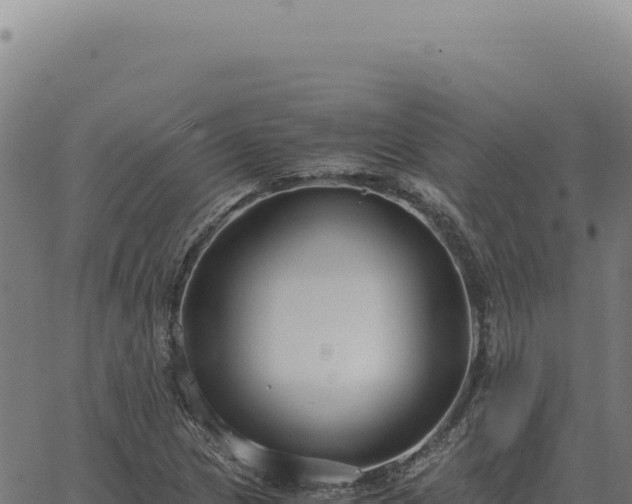 X0000063501217200601271736