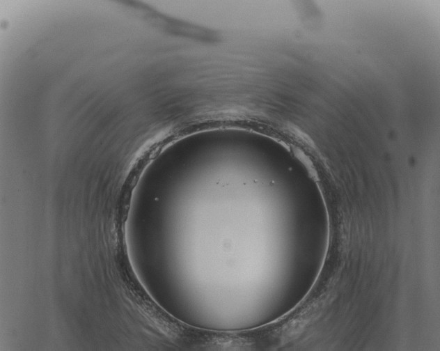 X0000063501218200601271736