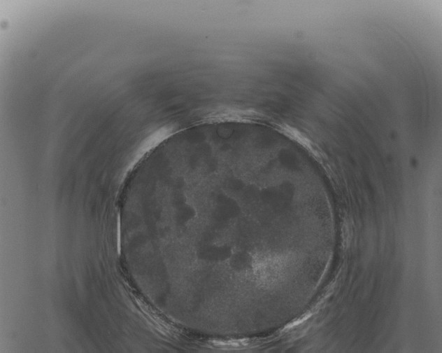 X0000063501219200601271736