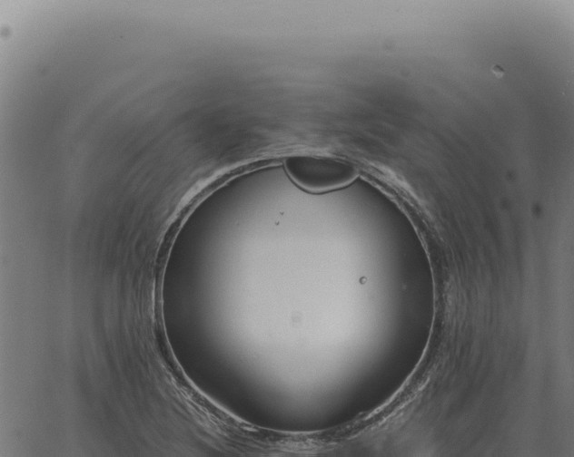 X0000063501220200601271737