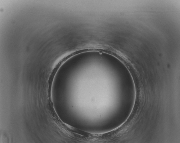 X0000063501222200601271737