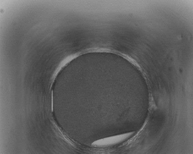 X0000063501223200601271737