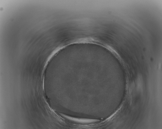 X0000063501224200601271737