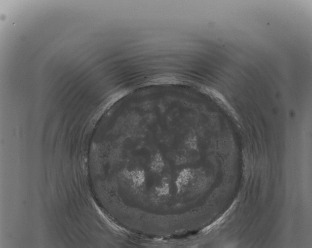 X0000063501225200601271737