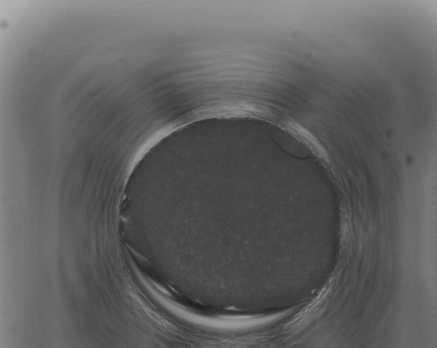 X0000063501226200601271737