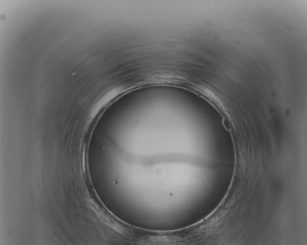 X0000063501227200601271737