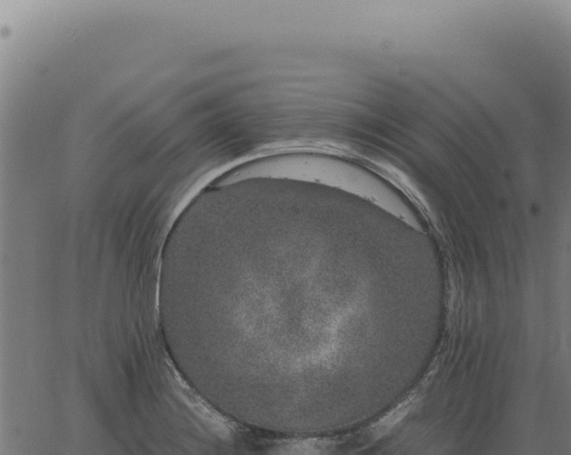 X0000063501228200601271737