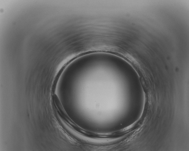 X0000063501230200601271737