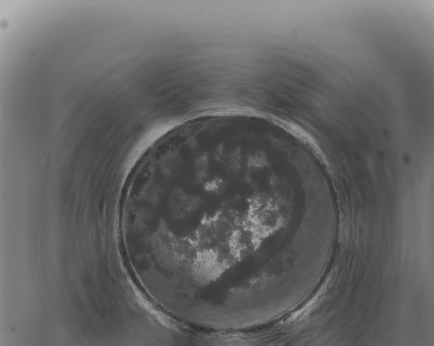 X0000063501231200601271737