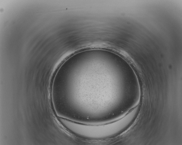 X0000063501232200601271737