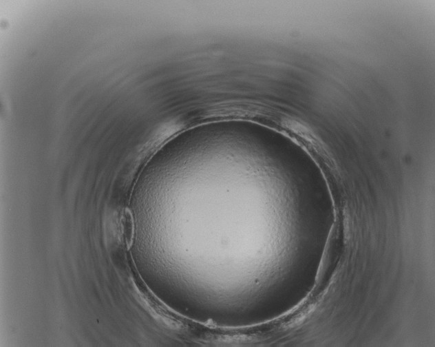 X0000063501233200601271737