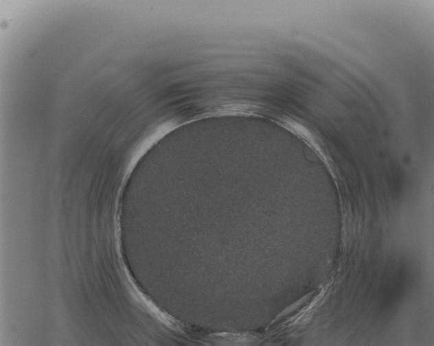 X0000063501235200601271737