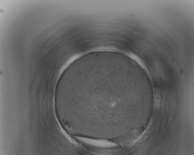 X0000063501237200601271737