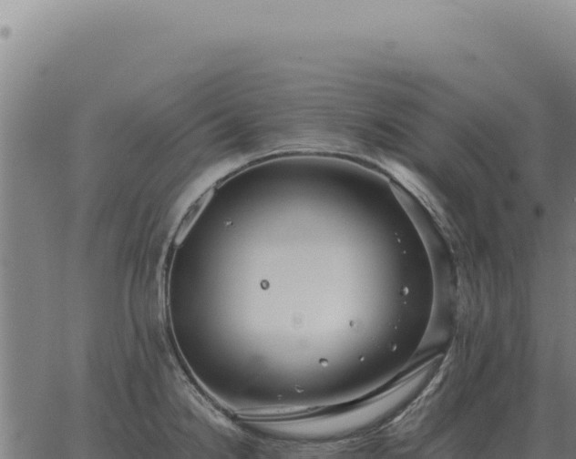 X0000063501238200601271737