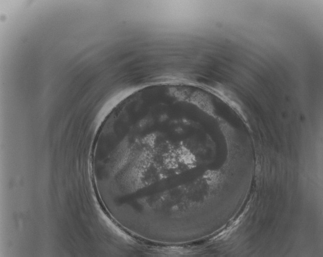 X0000063501239200601271737