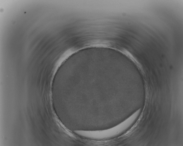 X0000063501240200601271737