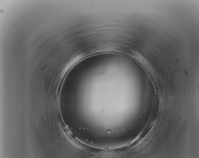 X0000063501242200601271737