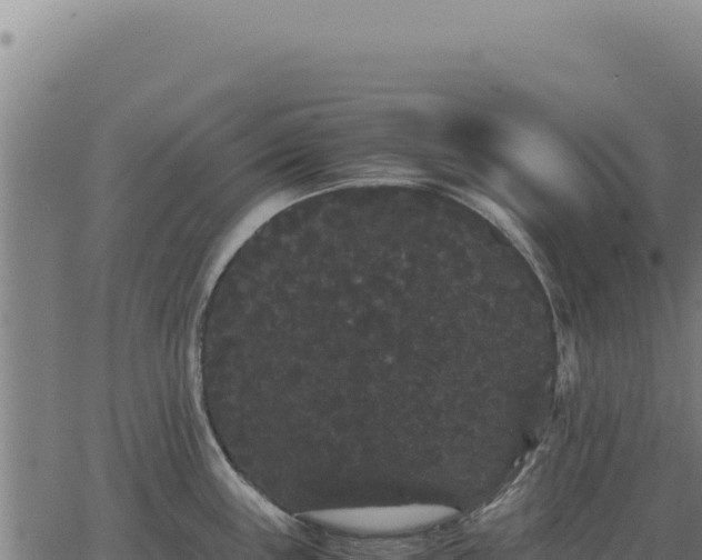 X0000063501243200601271737