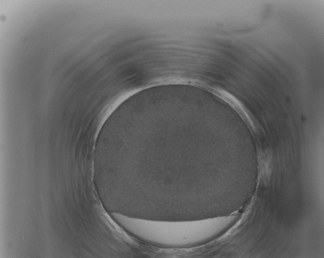 X0000063501244200601271737