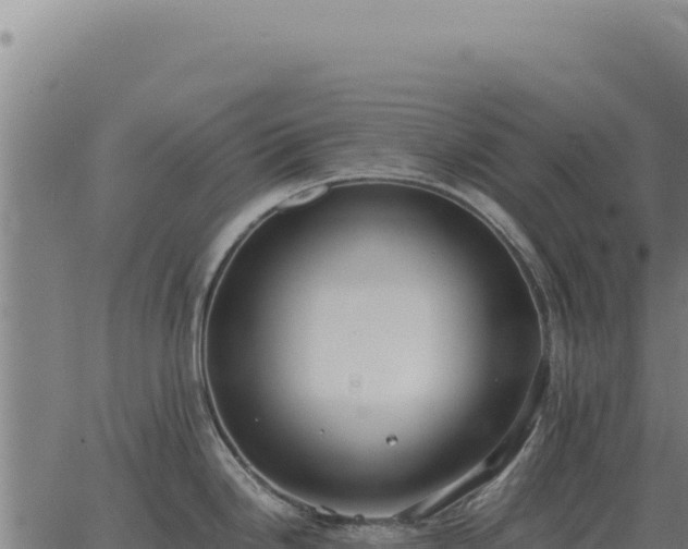 X0000063501246200601271737