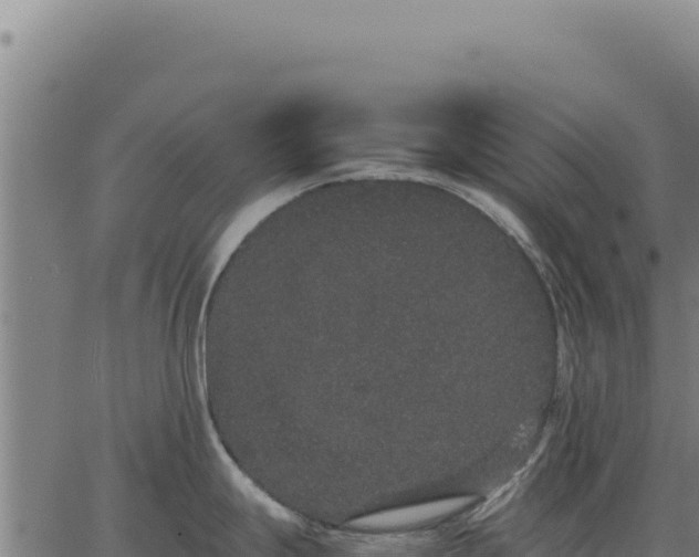 X0000063501247200601271737