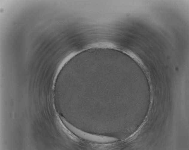 X0000063501248200601271737