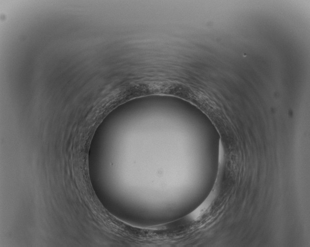 X0000063501249200601271736