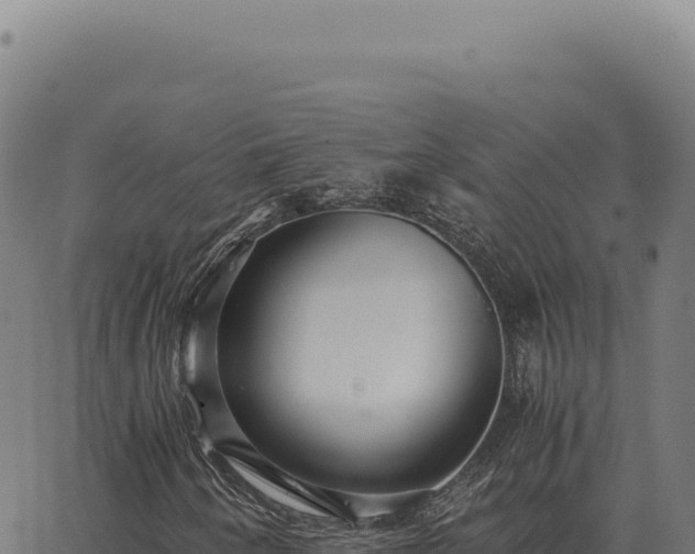 X0000063501250200601271736