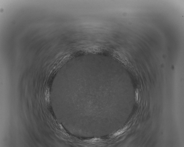 X0000063501251200601271736