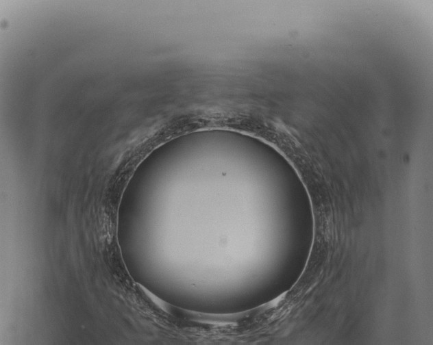 X0000063501253200601271736