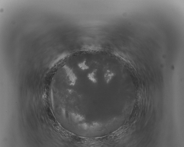 X0000063501254200601271736