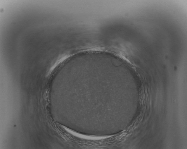 X0000063501255200601271736