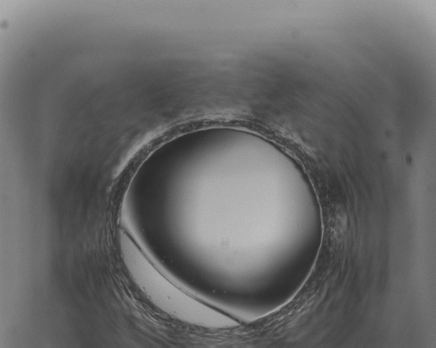 X0000063501256200601271736