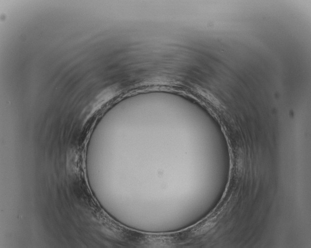 X0000063501258200601271736