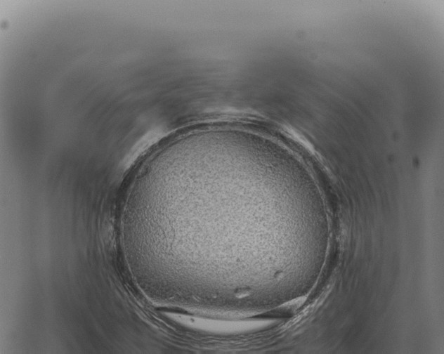 X0000063501259200601271736