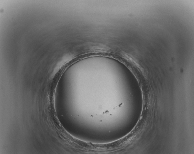 X0000063501261200601271736