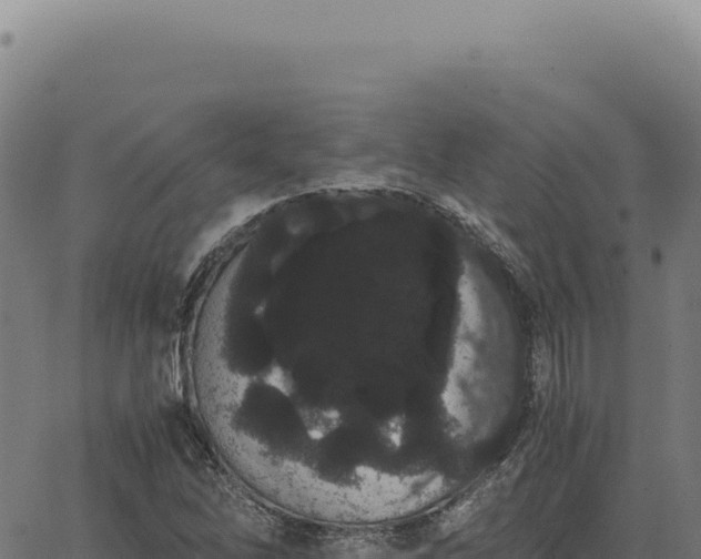 X0000063501262200601271736