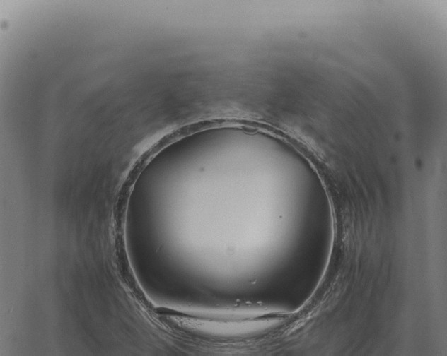 X0000063501264200601271736