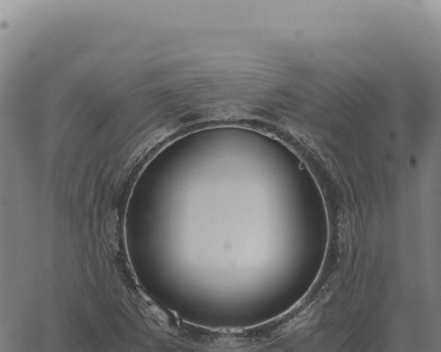 X0000063501265200601271736