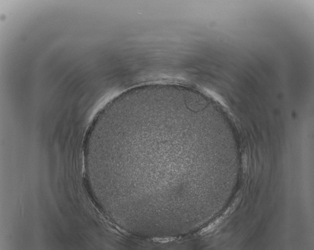 X0000063501267200601271736