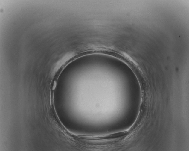 X0000063501269200601271736