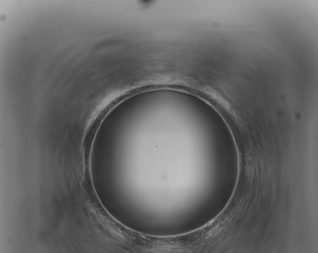 X0000063501270200601271736