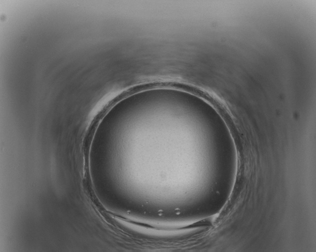 X0000063501271200601271736