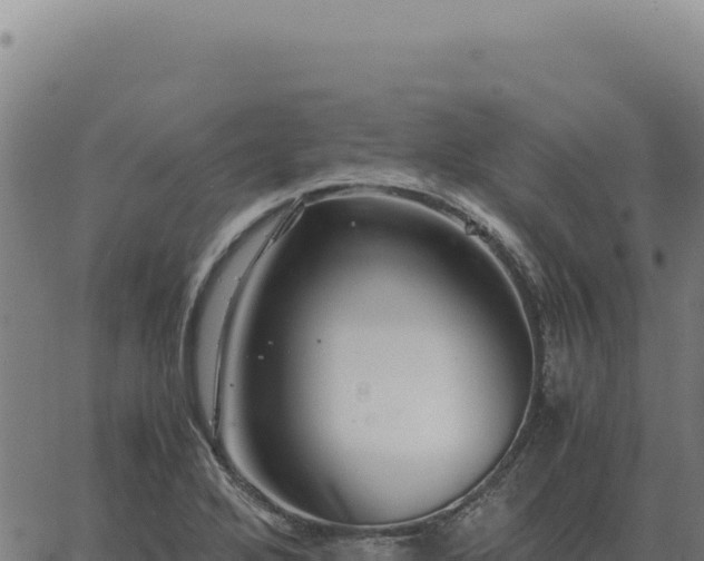 X0000063501272200601271736