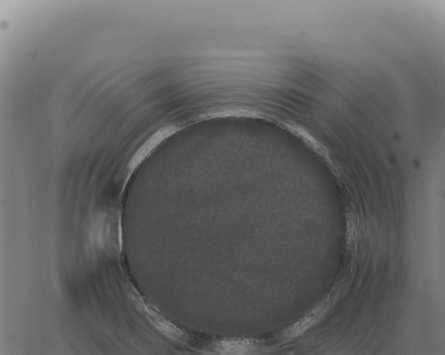 X0000063501274200601271736