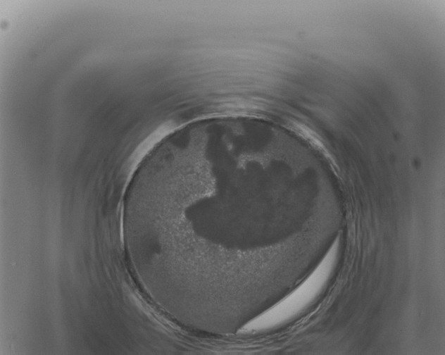 X0000063501275200601271736